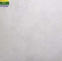 Gạch lát nền đá mờ cao cấp 60x60 9174