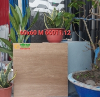 Gạch Lát Nền Giả Gỗ Ấn Độ 60x60 Đá Mờ Cao Cấp HCM