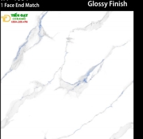 Gạch Lát Nền Khổ Lớn 100x100 Trắng Vân Xanh Cao Cấp HCM