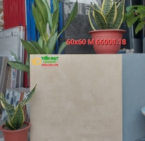 Gạch Lát Nền Phòng Khách 60x60 Đá Mờ Đẹp