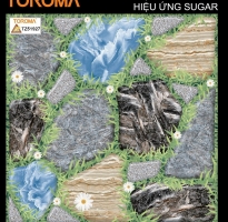Gạch Lát Sân 50x50 Cao Cấp HCM