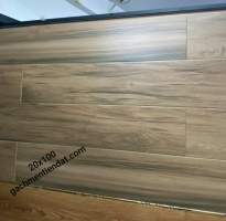 Gạch Lót Nền 20x100 Giả Gỗ Cao Cấp