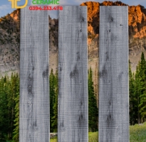 Gạch Lót Nền 20x100 Nhập Khẩu india Cao Cấp HCM