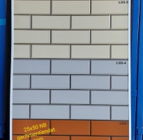 Gạch Miền Tây 25x50 Trang Trí Giá Rẻ