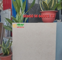 Gạch Mờ 60x60 Lát Nền Nhập Khẩu Cao Cấp