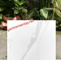 Gạch Nhập Khẩu 60x60 Đá Mờ Trắng Vân