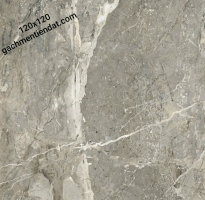 Gạch Nhập Khẩu 120x120 Cao Cấp HCM