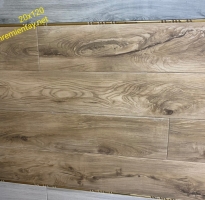 Gạch Nhập Khẩu 20x120 Giả Gỗ Cao Cấp