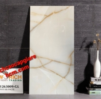 Gạch Nhập Khẩu 60x120 Tân Thạnh 