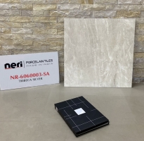 Gạch Nhập Khẩu 60x60 Ốp Lát Q5