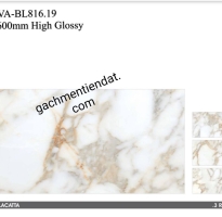 Gạch Nhập Khẩu 80x160 Trắng Vân Vàng 