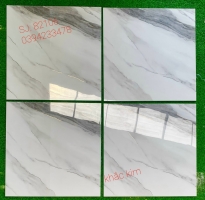 Gạch Nhập Khẩu 80x80 Bóng Kiếng Khắc Kim