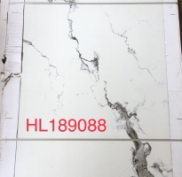 Gạch Nhập Khẩu 90x180 Trắng Vân Đen 