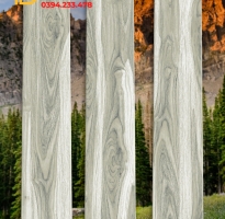 Gạch Nhập Khẩu Ấn Độ 20x100 Đá Mờ Marble Cao Cấp