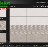 Gạch Nhập Khẩu Ấn Độ 30x60 Bộ Đậm Nhat Bóng Kính