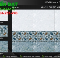Gạch Nhập Khẩu Ấn Độ 30x60 Dán Tường Cao Cấp HCM