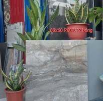 Gạch Nhập Khẩu Ấn Độ 60x60 Vân Giả Đá Đẹp