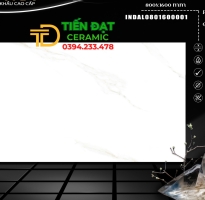 Gạch Nhập Khẩu Ấn Độ 80x160 Ốp Tường Mới Nhất