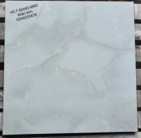 Gạch Nhũ Vàng 60x60 Hoàng Gia 2021