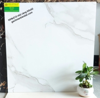 Gạch Nhũ Vàng 60x60 Trắng Vân Mẫu Mới