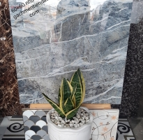 Gạch Nhũ Vàng 60x60 Vẫu Mới Nhất