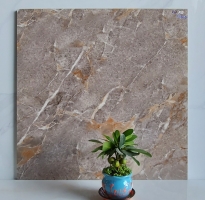 Gạch Ốp Bóng Kiếng 60x60 Cao Cấp HCM