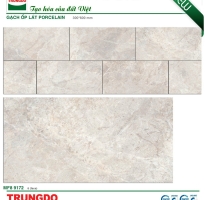 Gạch Ốp Cao CẤp 240x60 Tại Quận 7 