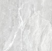 Gạch ốp lát 60x120 gạch cao cấp nhũ bạc