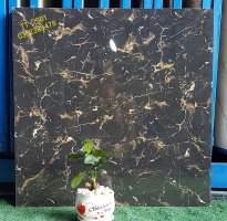 Gạch Ốp Lát 60x60 Cao Cấp Catalan