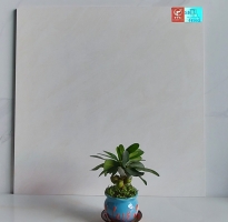 Gạch Ốp Lát 60x60 Đá Bóng Kiếng Toàn Phần