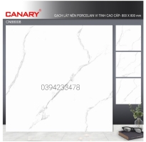 Gạch ốp Lát 80x80 Cao Cấp Đồng Tháp