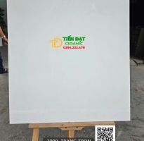 Gạch Ốp Lát 80x80 Khổ Lớn Trắng Trơn Vi Tinh
