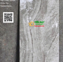 Gạch Ốp Lát Bóng Kiếng 60x120 Vân Xám Đá Apodio Cao Cấp