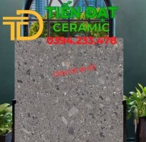 Gạch Ốp Lát Cao Cấp 120x120 Terrazzo Khổ Lớn