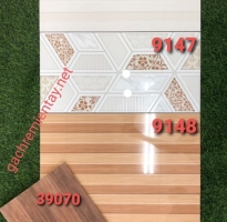 Gạch Ốp Lát Cao cẤp 240x60 Bóng kính