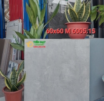 Gạch Ốp Lát Cao Cấp 60x60 Đá Mờ Ấn Độ Mới Đẹp