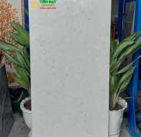 Gạch Ốp Lát Khổ Lớn 60x120 Teraazoo Cao Cấp