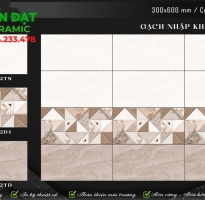 Gạch Ốp Lát Phòng Khách 30x60 Nhập khẩu Bóng Kiếng