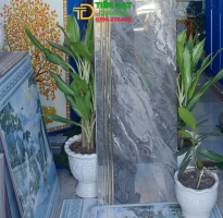 Gạch Ốp Lát Tam Cấp Cầu Thang 47x120 Nhũ Vàng Mới Đẹp