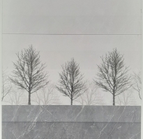 Gạch ốp tường 30x60 HBM 9133