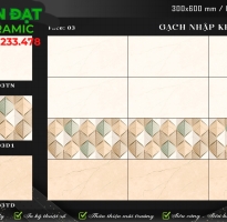 Gạch Ốp Tường 30x60 Nhập Khẩu Ấn Độ Mẫu Mới