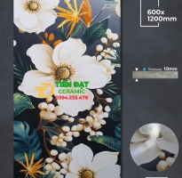 Gạch Ốp Tường 60x120 Apodio Rải Hạt Tinh Thể Bông Hoa Mới Đẹp