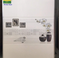 Gạch ốp tường  cao cẤp 240x60 