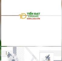 Gạch Ốp Tường Catalan 30x60 Trắng Trơn Thân Viền Điểm Đồng Giá