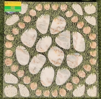 Gạch sân vườn 50X50 giá rẻ bình tân 051