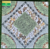 Gạch sân vườn 50X50  long an 5162