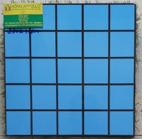 Gạch trang trí giá rẻ 30x30 gạch ốp lát bể bơi 