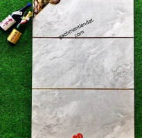 Gạch Vi Tinh 40x80 Bóng Kiếng Ốp Lát