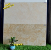 Gạch Ốp Cao Cấp 40x80 Bóng Kiếng HCM