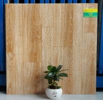 Tổng Kho Gạch 60x60 Vân Gỗ Viglacera